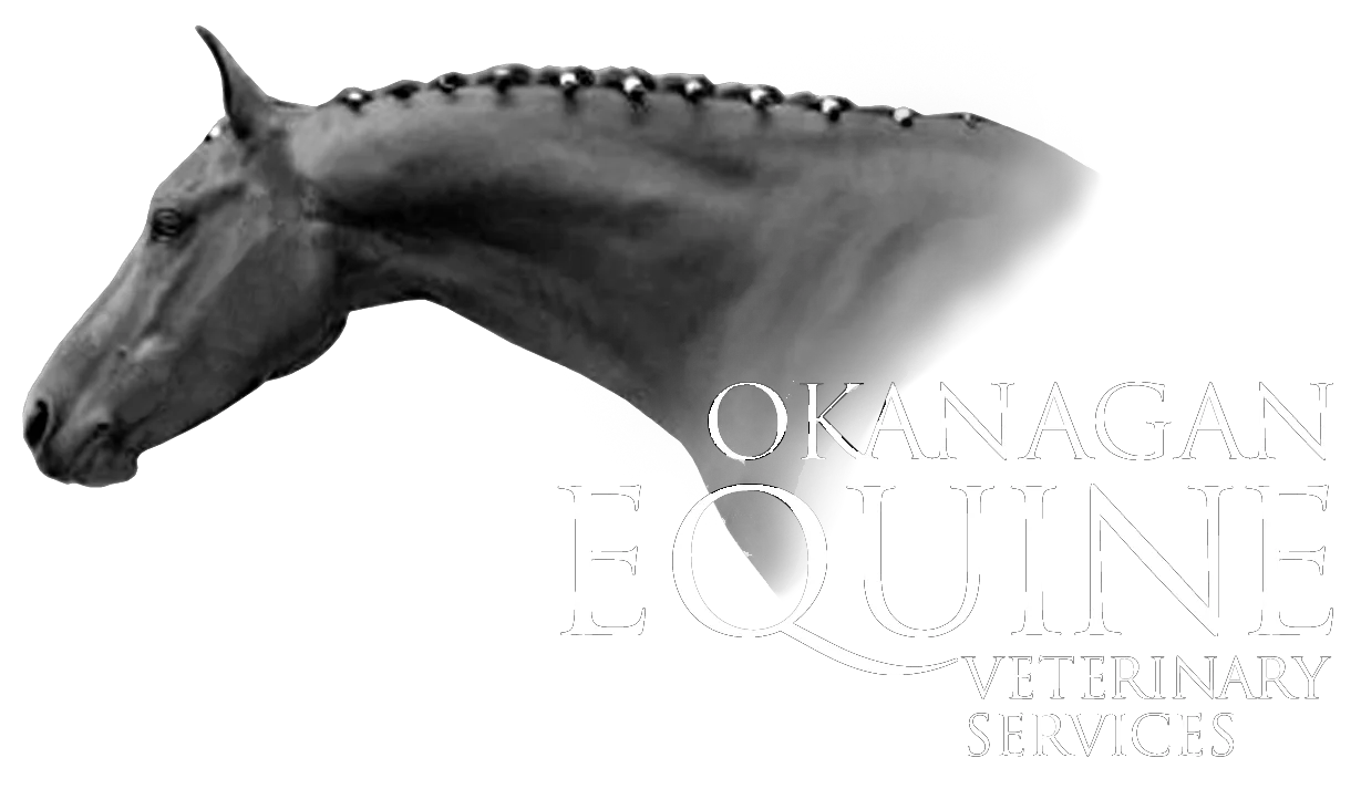 Okanagan Equine Veterinary Services